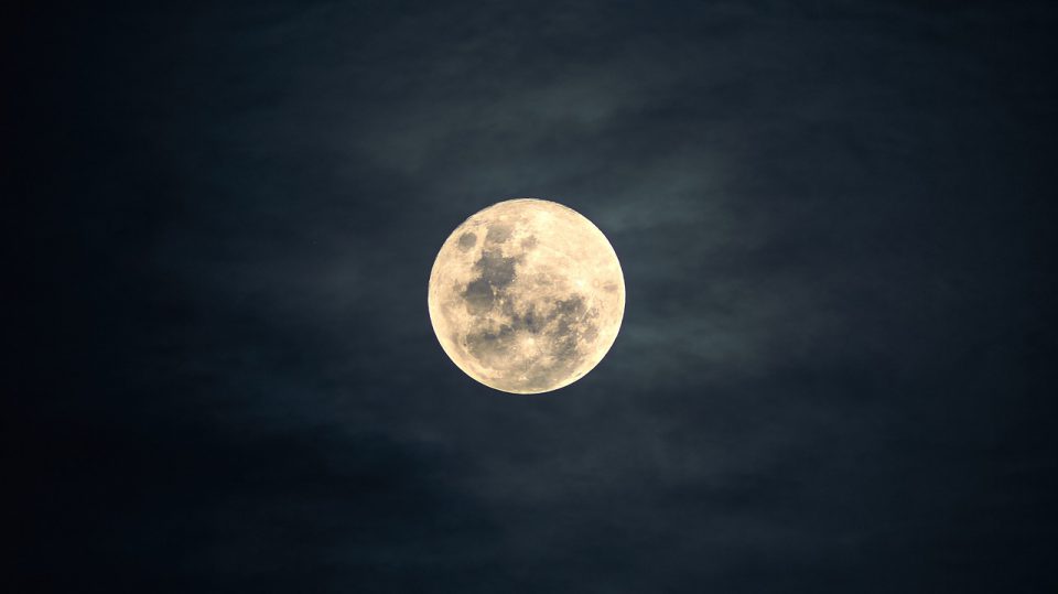 Mit dem Mond und einem Gartenkalender soll sich das Wachstum im Garten steuern lassen