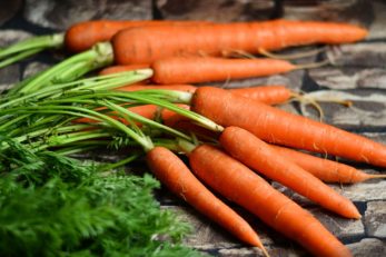 Egal ob Karotten gut für die Augen sind oder nicht - zu einer gesunden Ernährung sollten sie dazugehören