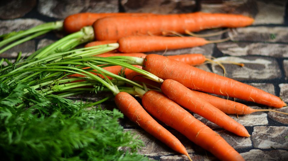 Egal ob Karotten gut für die Augen sind oder nicht - zu einer gesunden Ernährung sollten sie dazugehören