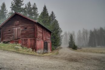 Schwedische Krimis überzeugen meist durch ihre düstere Farbgestaltung