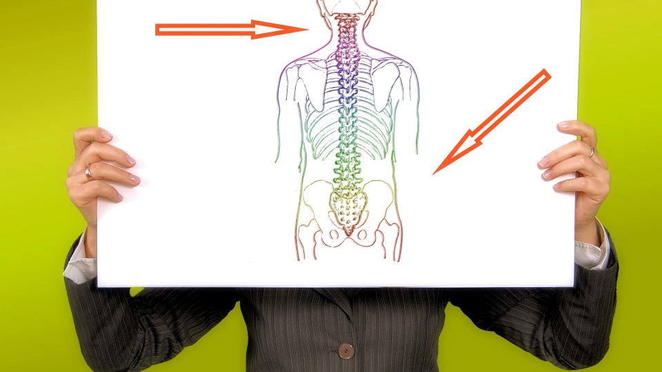 Arthrose und Gelenkverschleiß können sehr unangenehm sein