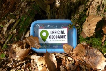 Ein klassisches Geocaching Versteck inmitten der Natur