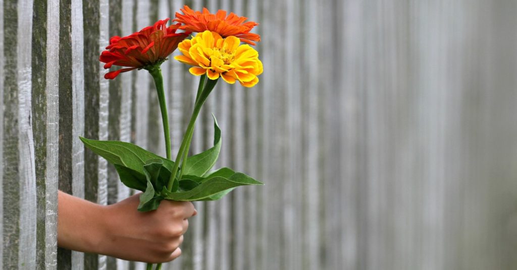 Blumen als Valentinsgeschenke für Ihn