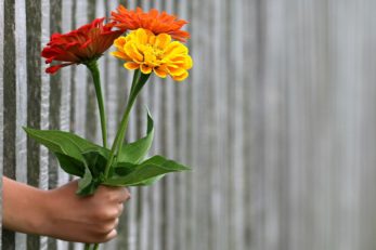 Blumen als Valentinsgeschenke für Ihn