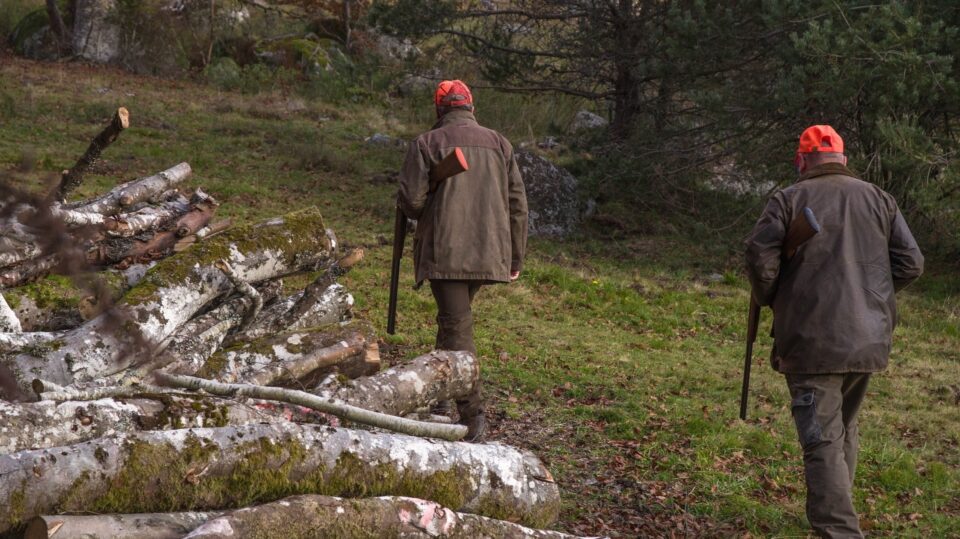 Jagdschein machen